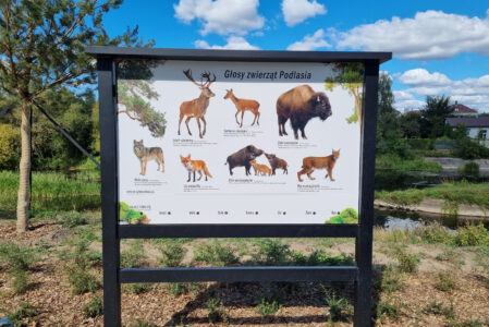 Nowe tablice dźwiękowe na Podlasiu!