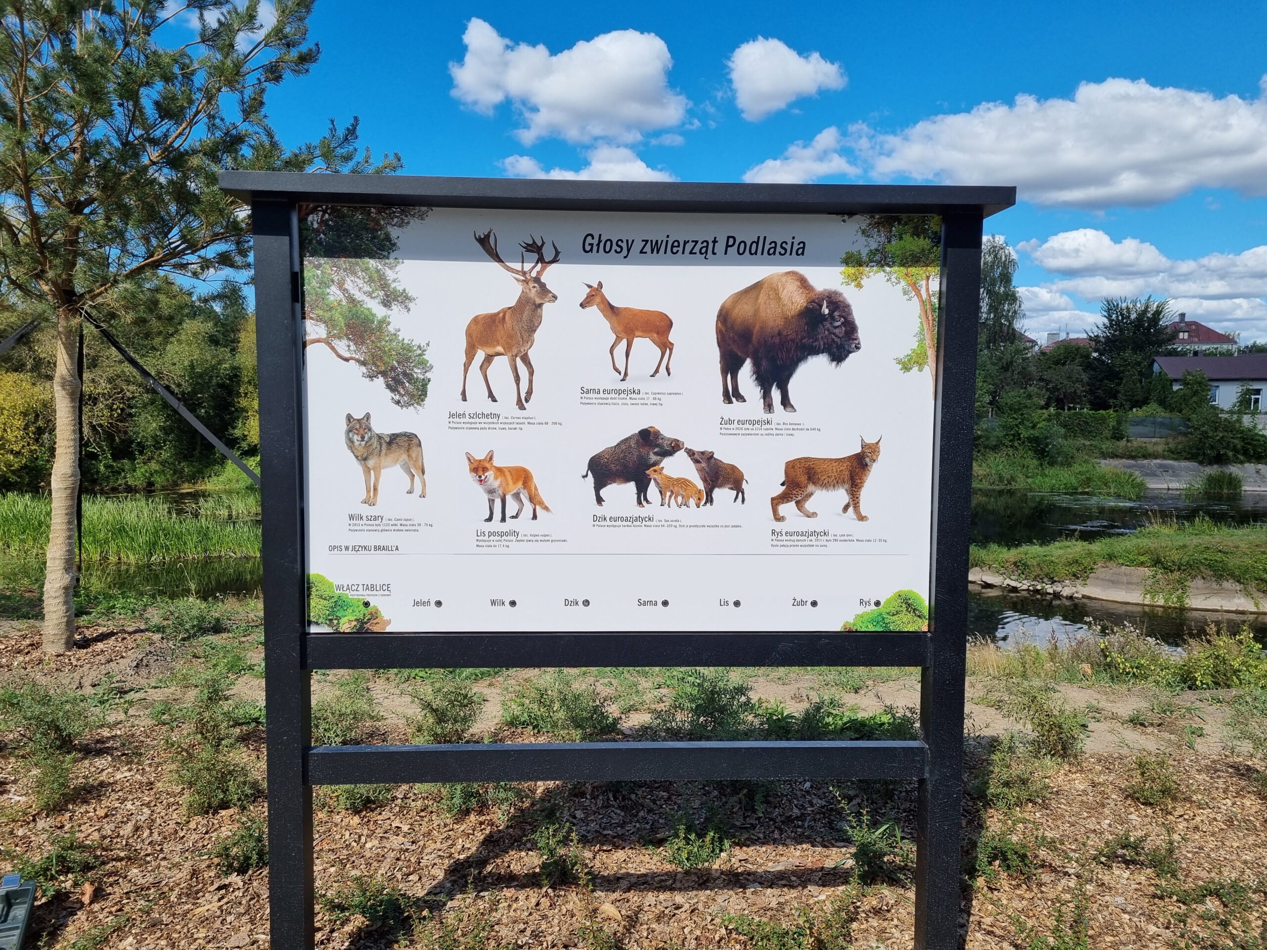 Nowe tablice dźwiękowe na Podlasiu!