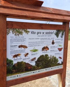 Tablica dźwiękowa z dźwiękami owadów.