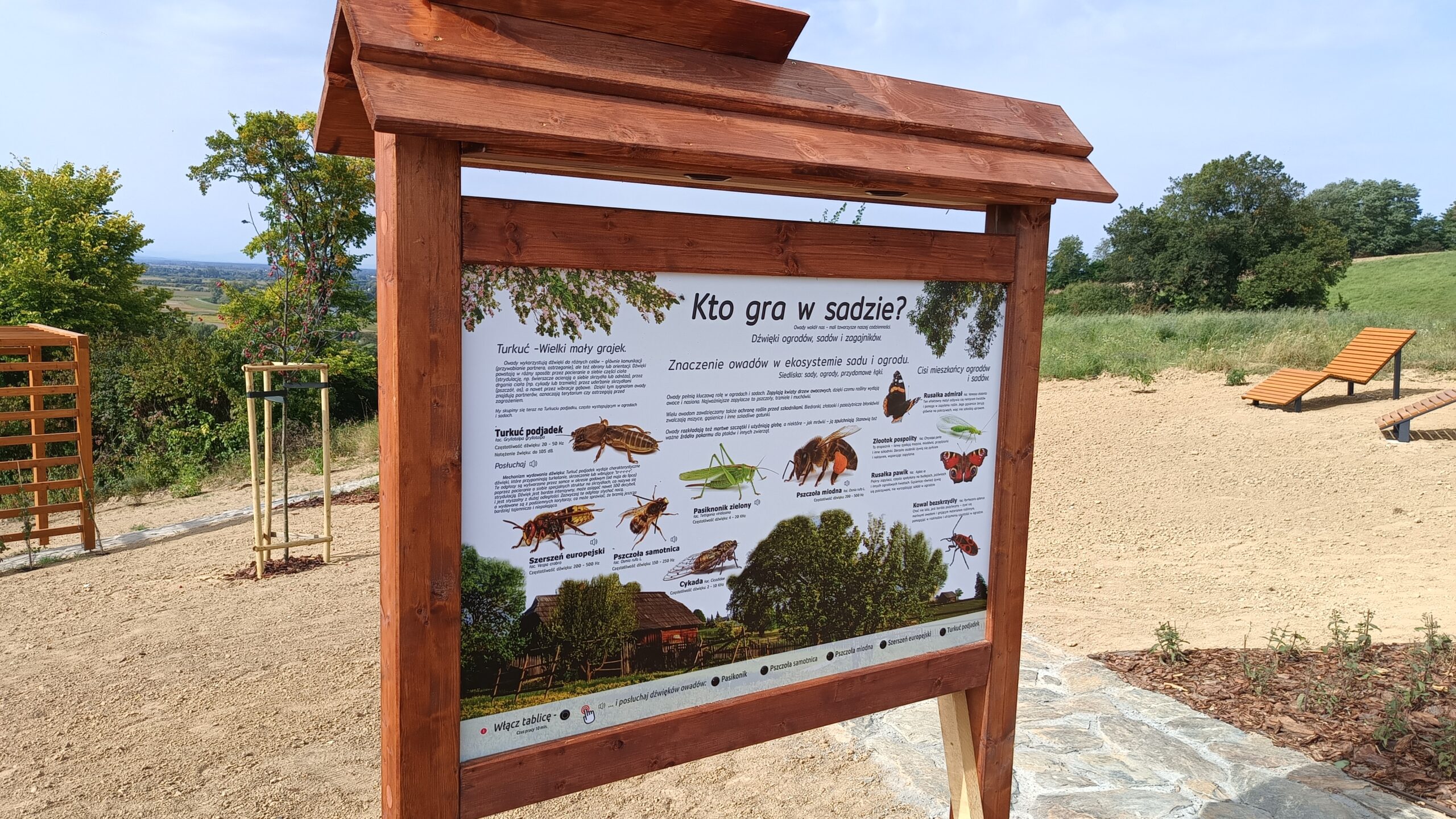 Tablica dźwiękowa z dźwiękami owadów.